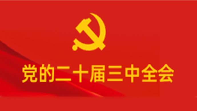党的二十届三中全会