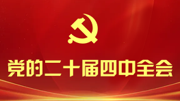 党的二十届四中全会